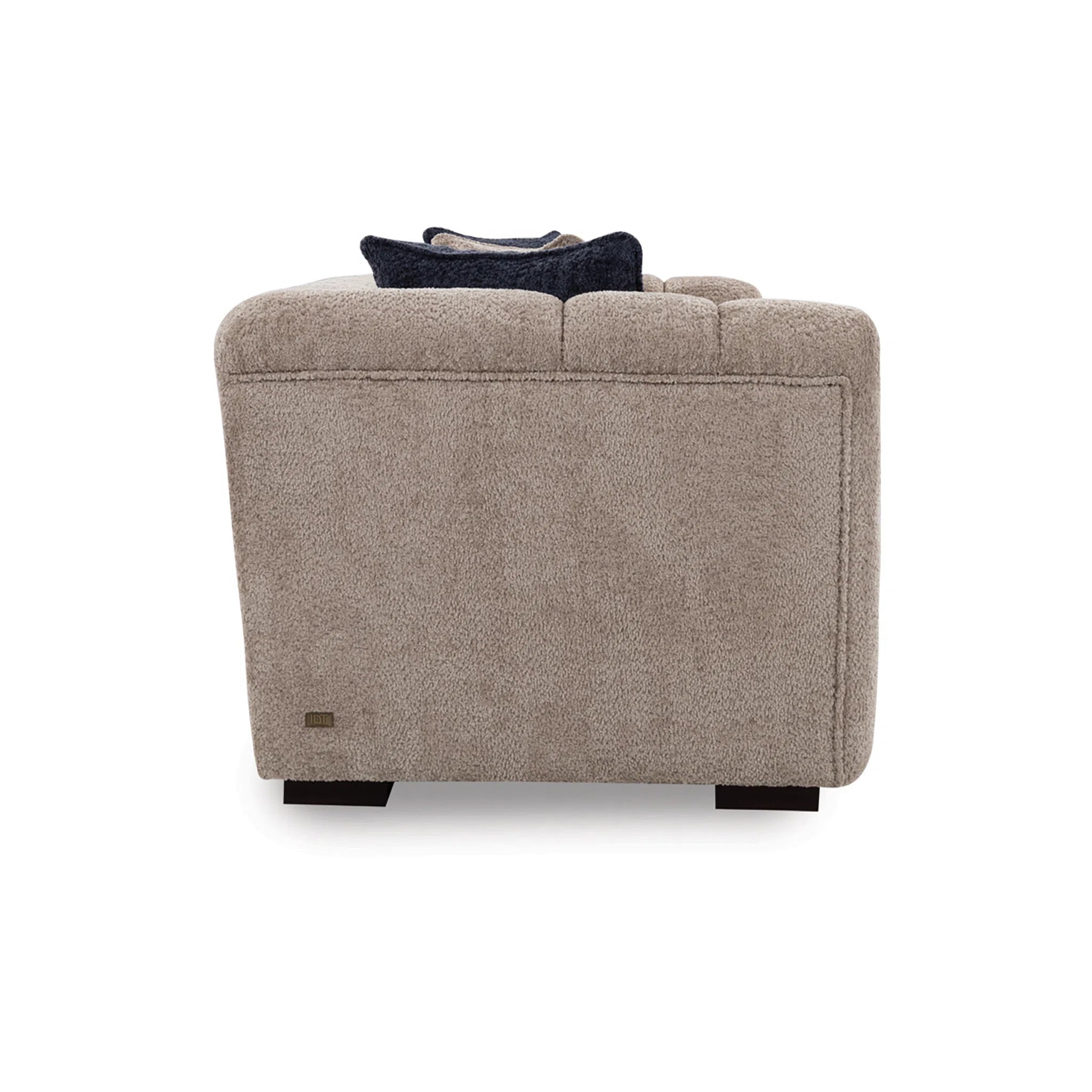 Beige armchair with a dark pillow on a white background