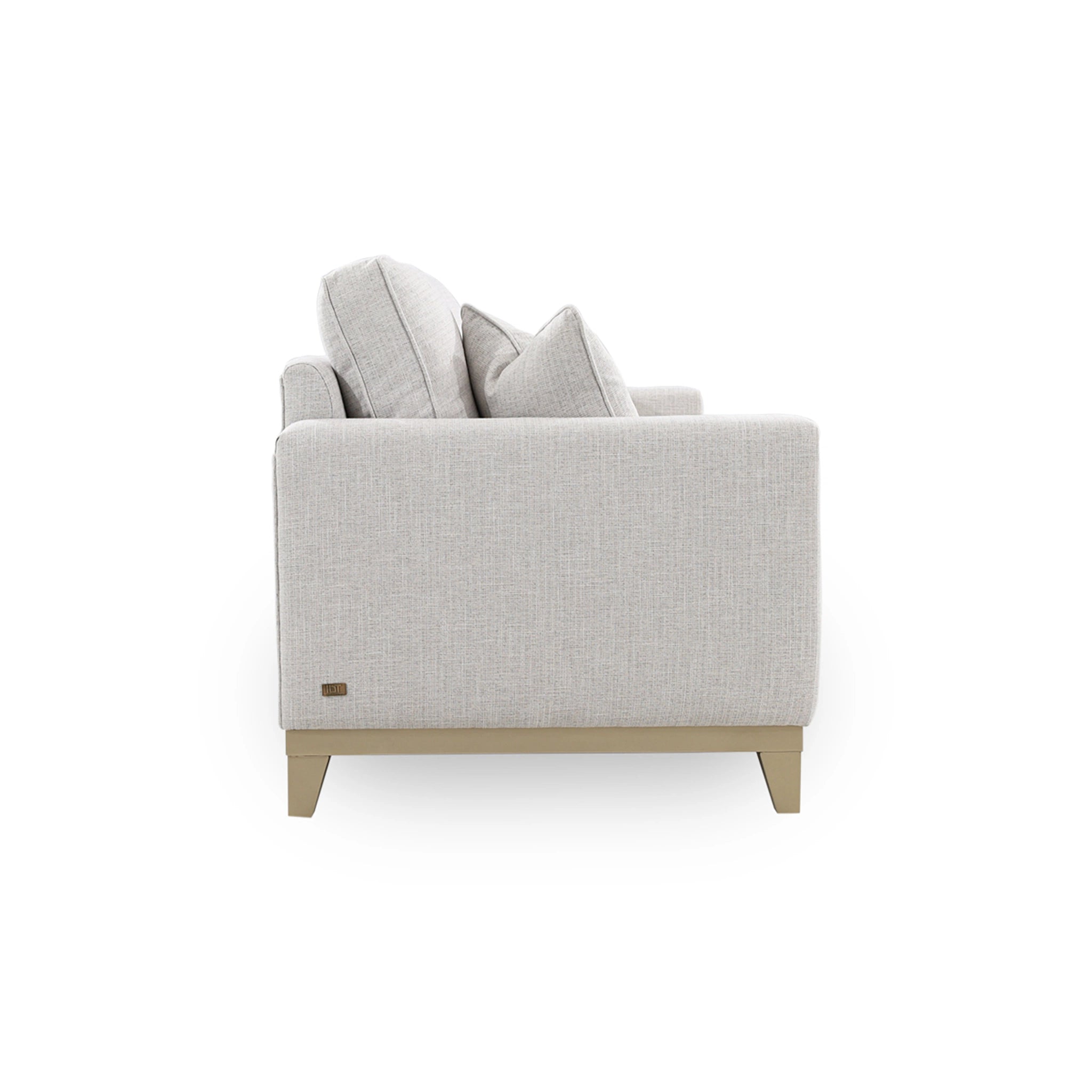 Gray sofa with wooden legs on a white background